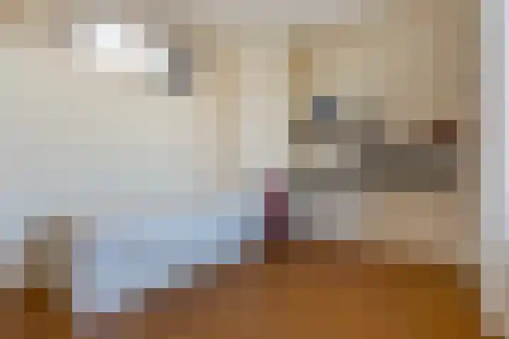 Groot Hertoginnelaan 142 A Den Haag thumbnail 50