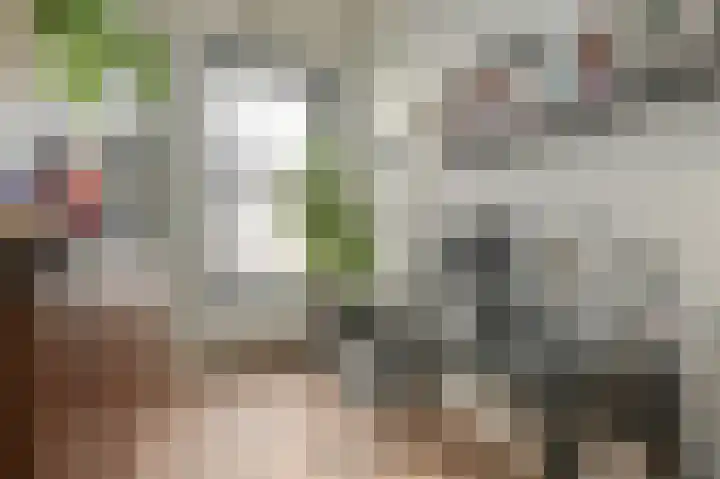 Groot Hertoginnelaan 149 B Den Haag thumbnail 20