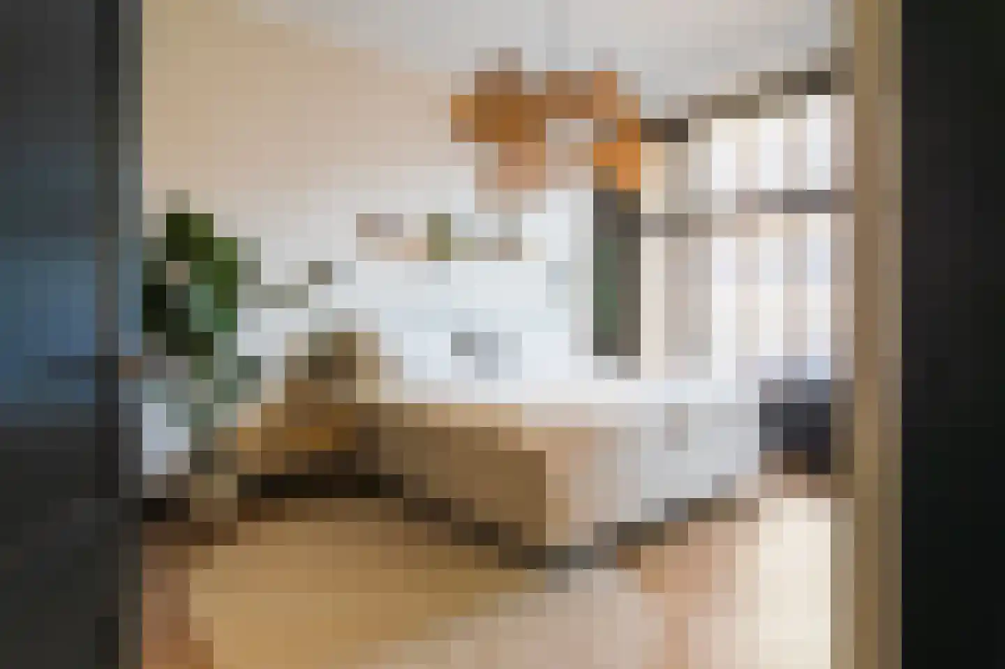 Groot Hertoginnelaan 156 Den Haag thumbnail 21