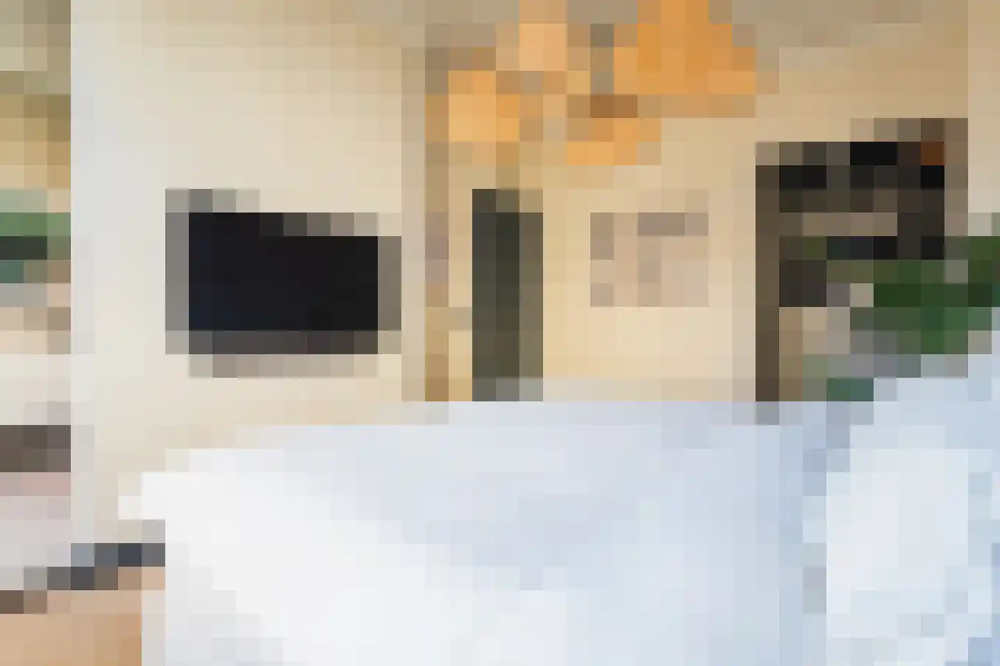 Groot Hertoginnelaan 156 Den Haag thumbnail 27