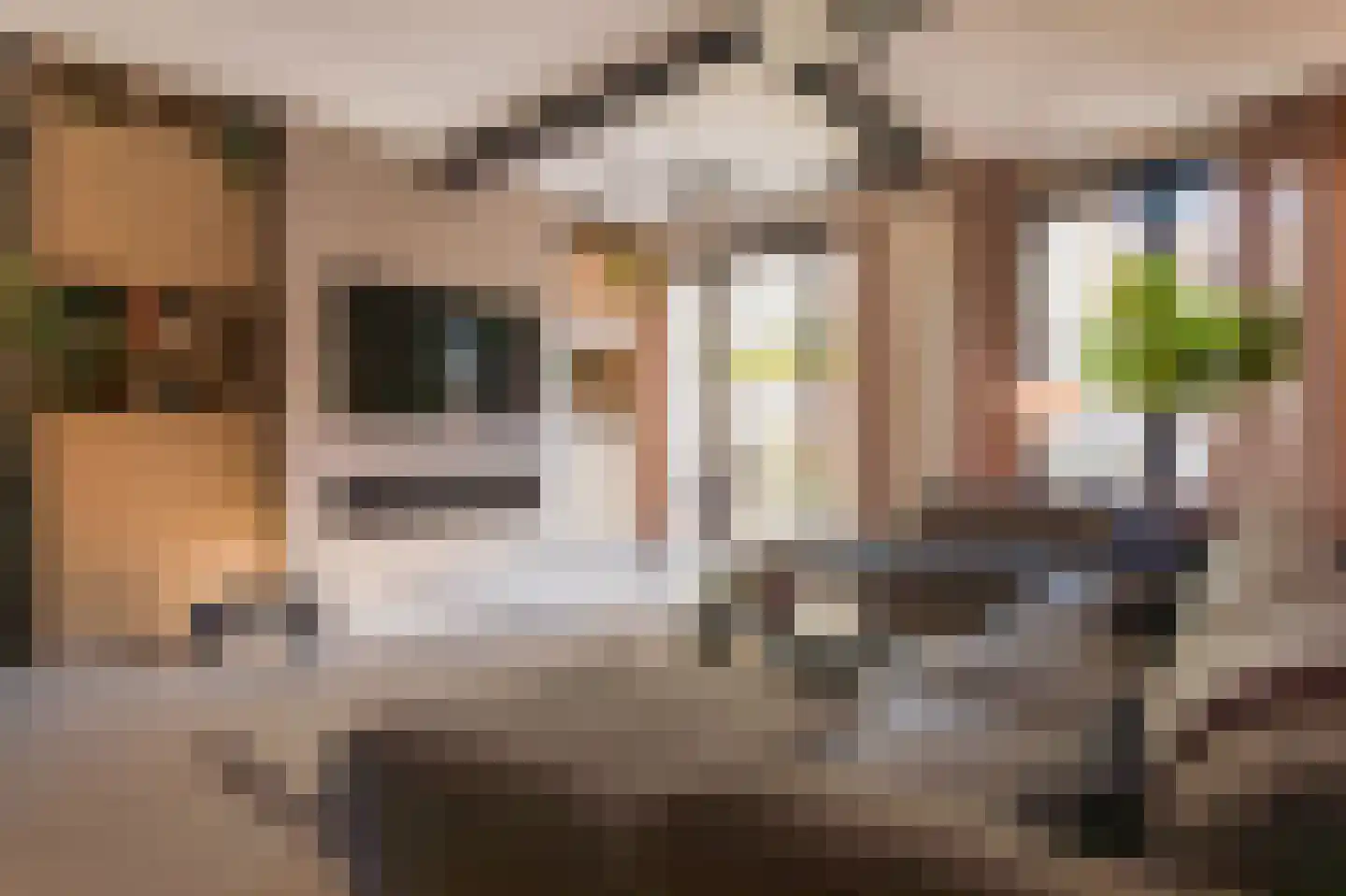 Groot Hertoginnelaan 156 Den Haag thumbnail 4