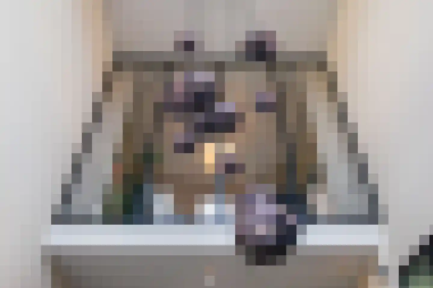 Groot Hertoginnelaan 156 Den Haag thumbnail 6