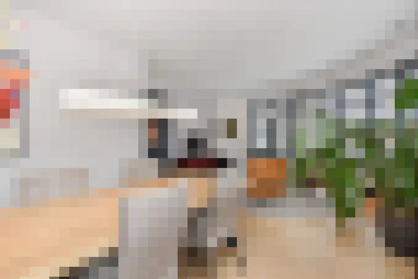 Groot Hertoginnelaan 160 A Den Haag thumbnail 15