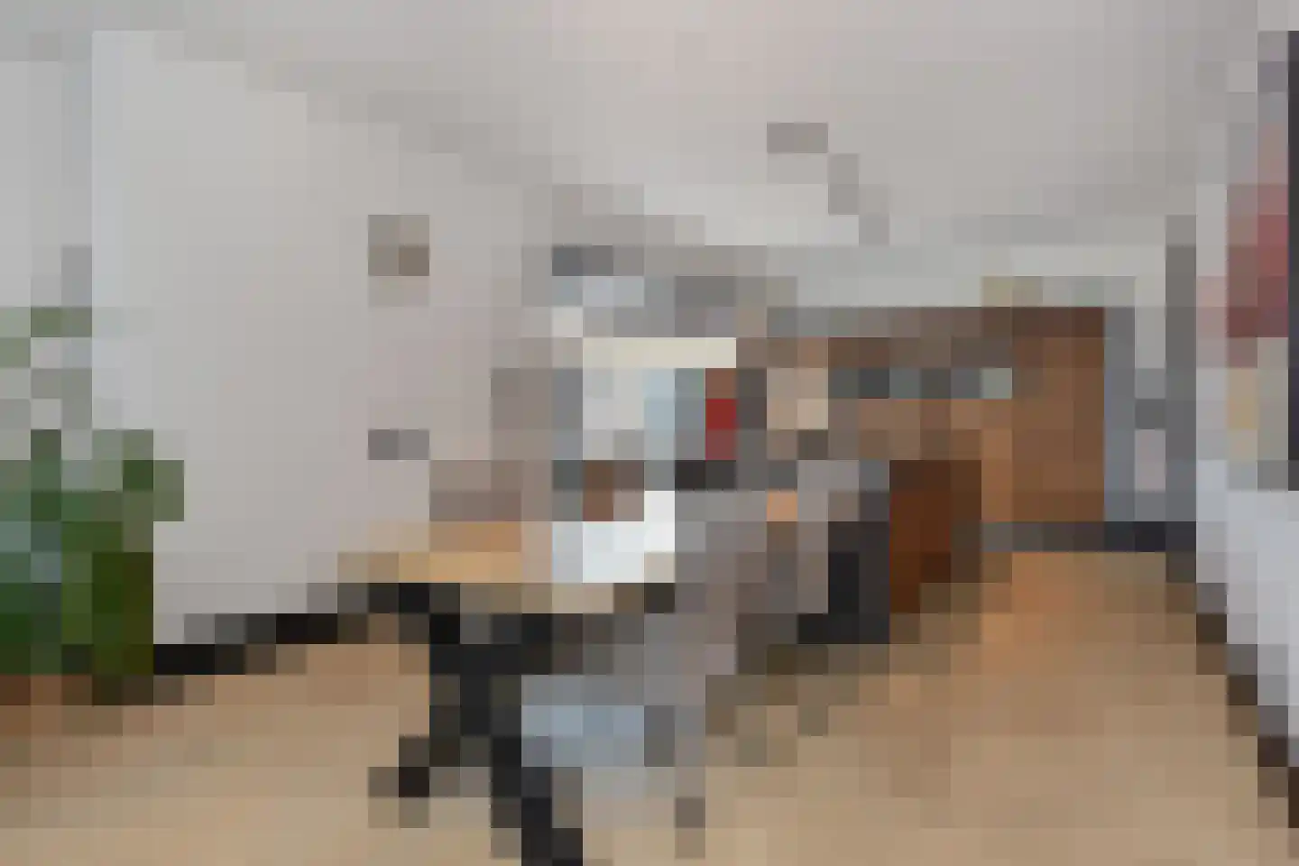 Groot Hertoginnelaan 160 A Den Haag thumbnail 8