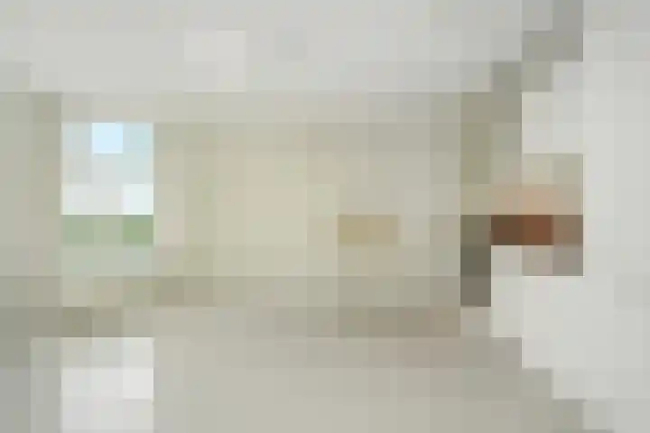 Groot Hertoginnelaan 161 B Den Haag thumbnail 12