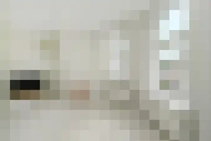 Groot Hertoginnelaan 161 B Den Haag thumbnail 17