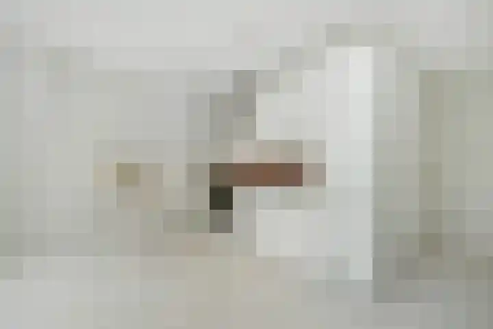 Groot Hertoginnelaan 161 B Den Haag thumbnail 20