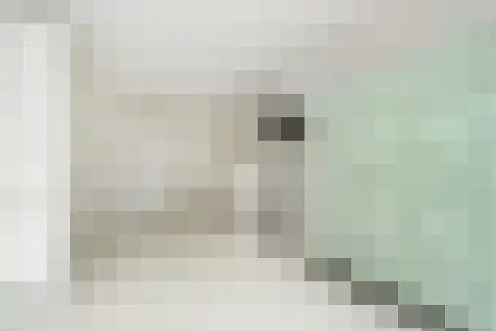 Groot Hertoginnelaan 161 B Den Haag thumbnail 24