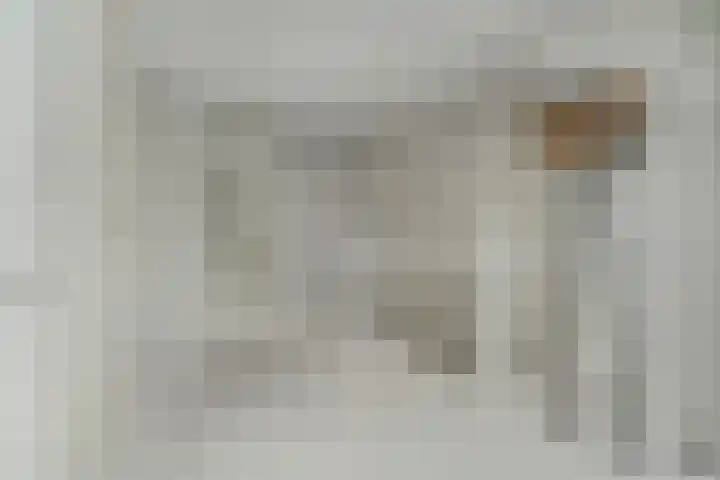 Groot Hertoginnelaan 161 B Den Haag thumbnail 25