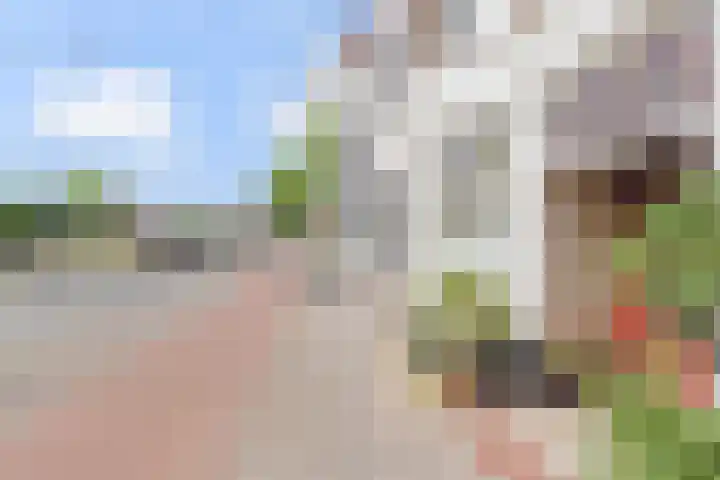 Groot Hertoginnelaan 161 B Den Haag thumbnail 44