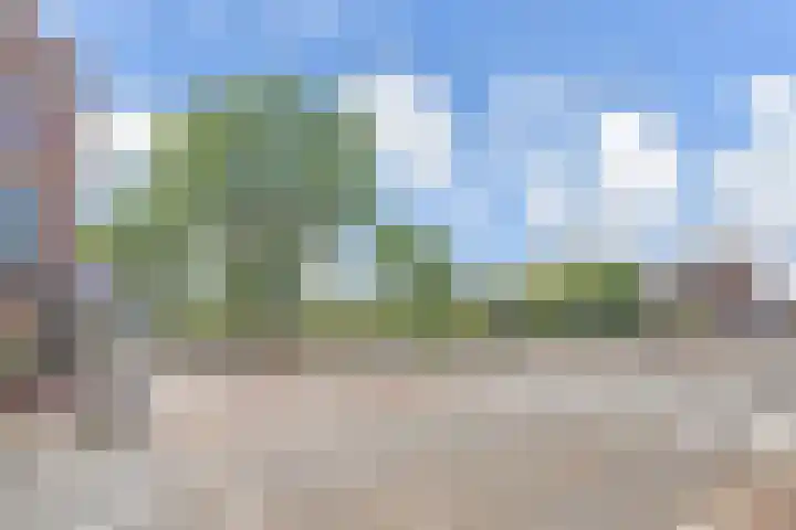 Groot Hertoginnelaan 161 B Den Haag thumbnail 46