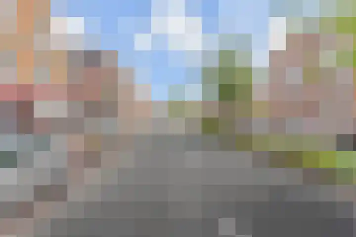Groot Hertoginnelaan 161 B Den Haag thumbnail 8