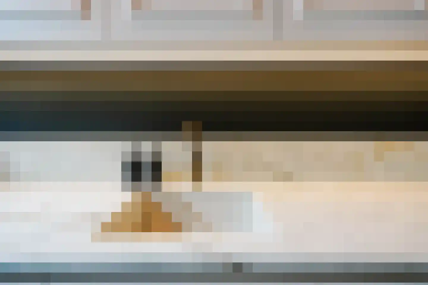 Groot Hertoginnelaan 164 Den Haag thumbnail 20