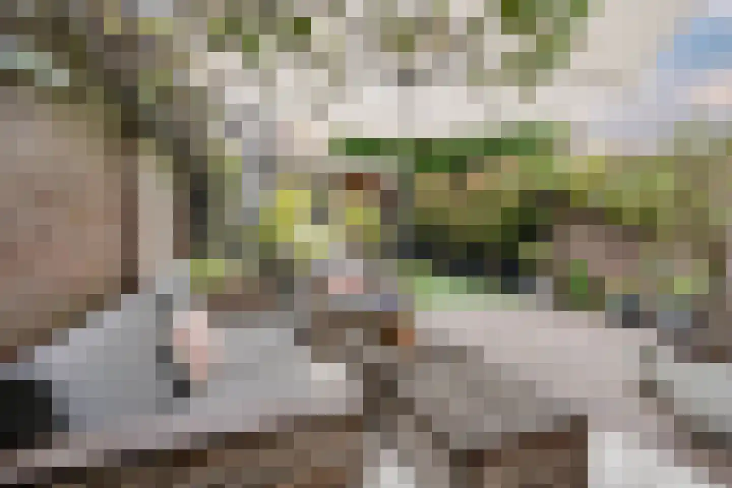 Groot Hertoginnelaan 164 Den Haag thumbnail 23