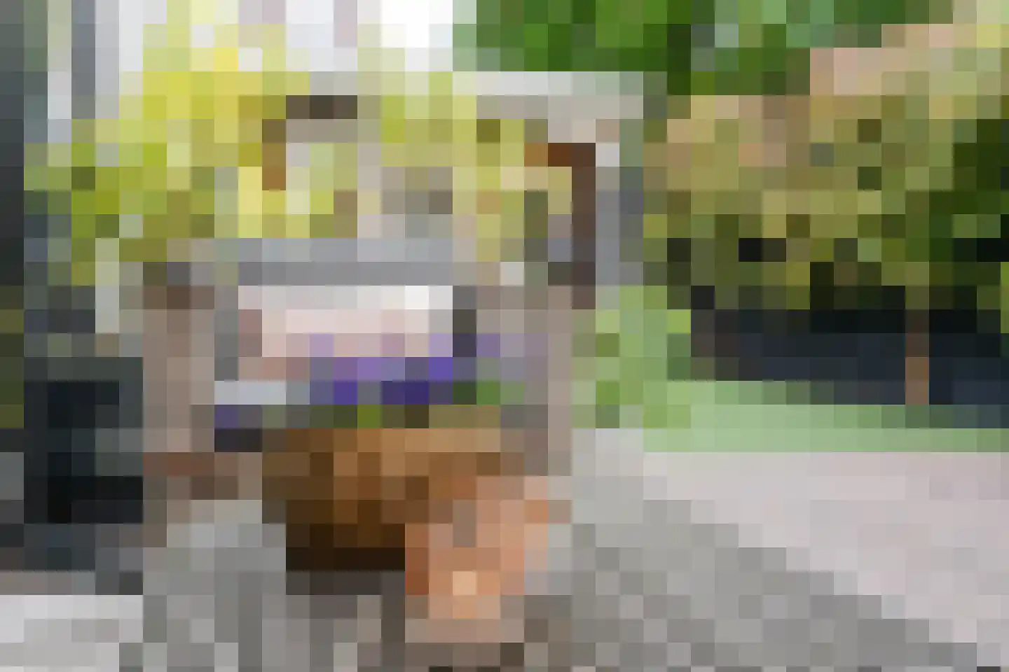 Groot Hertoginnelaan 164 Den Haag thumbnail 25
