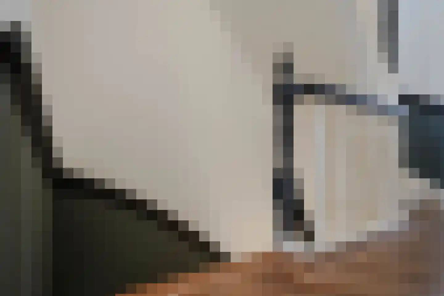 Groot Hertoginnelaan 164 Den Haag thumbnail 31