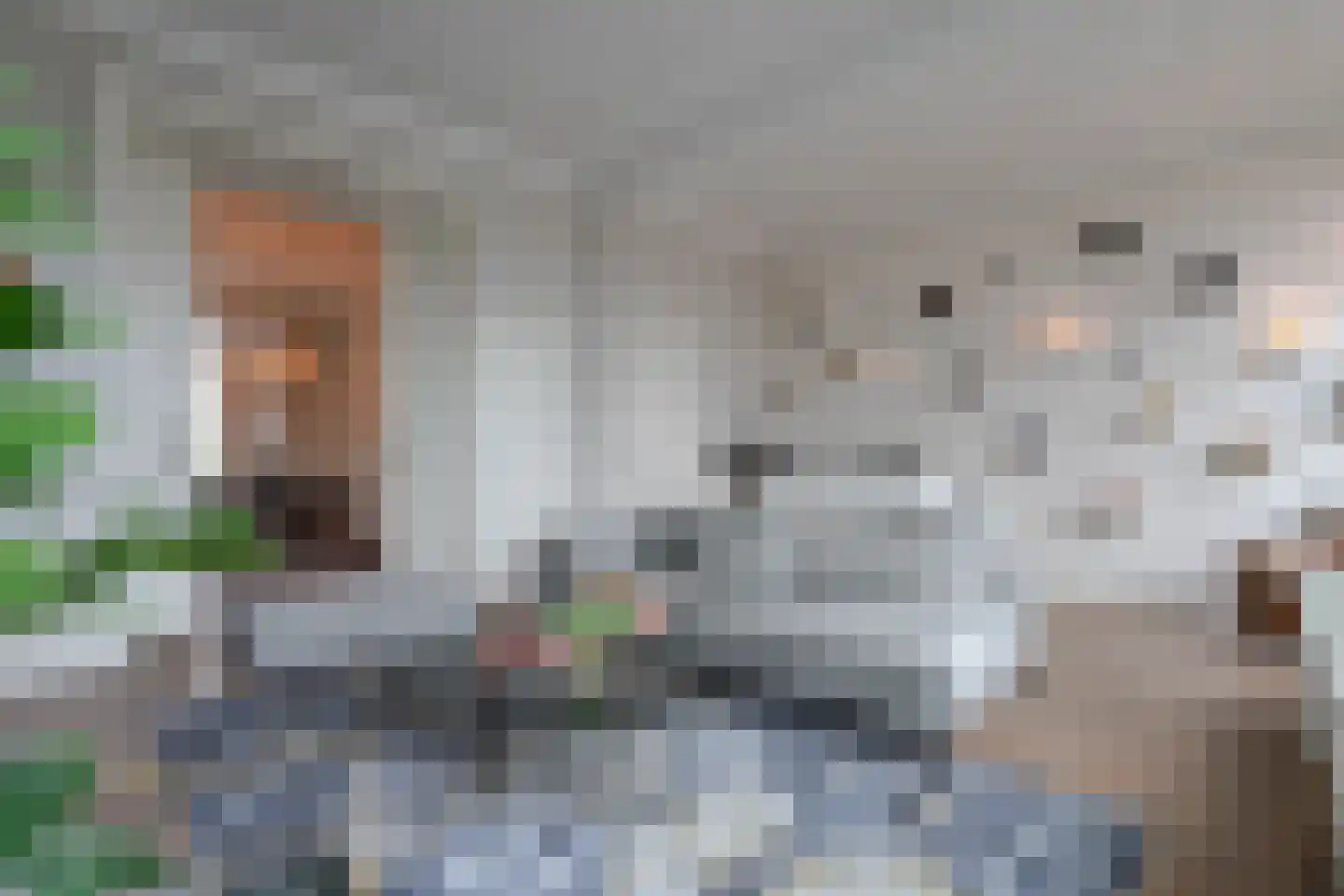 Groot Hertoginnelaan 164 Den Haag thumbnail 36