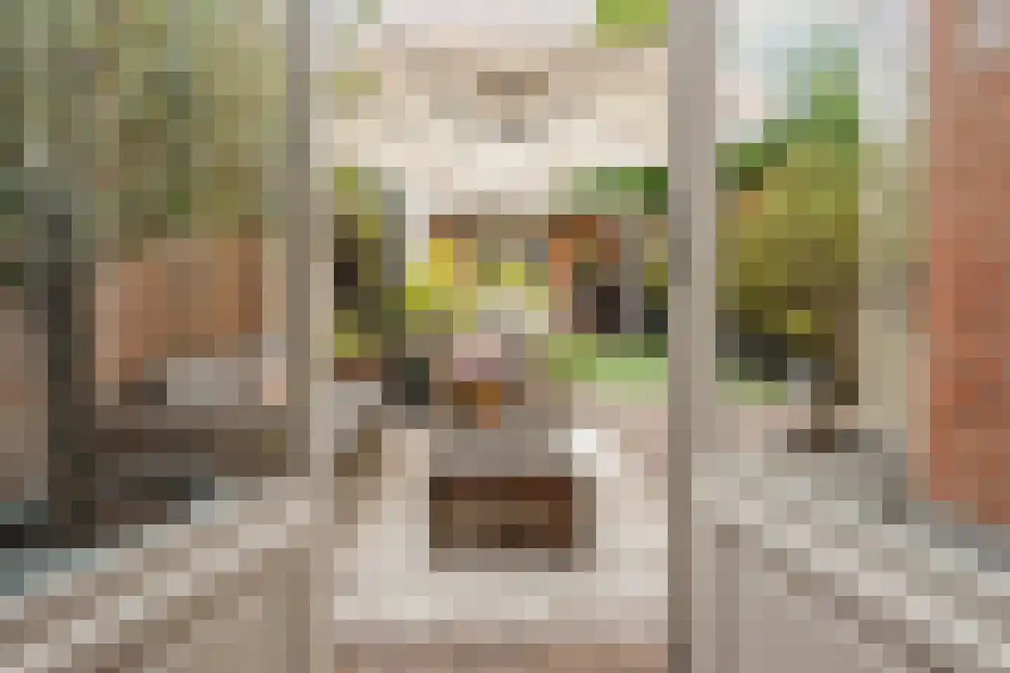 Groot Hertoginnelaan 164 Den Haag thumbnail 4