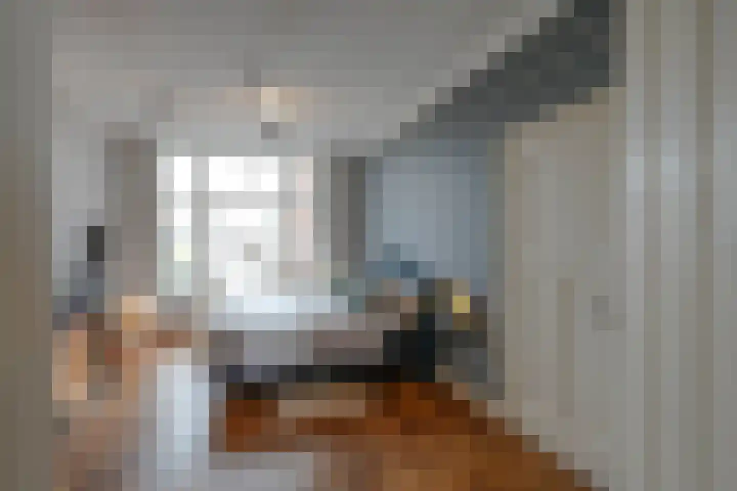 Groot Hertoginnelaan 164 Den Haag thumbnail 43