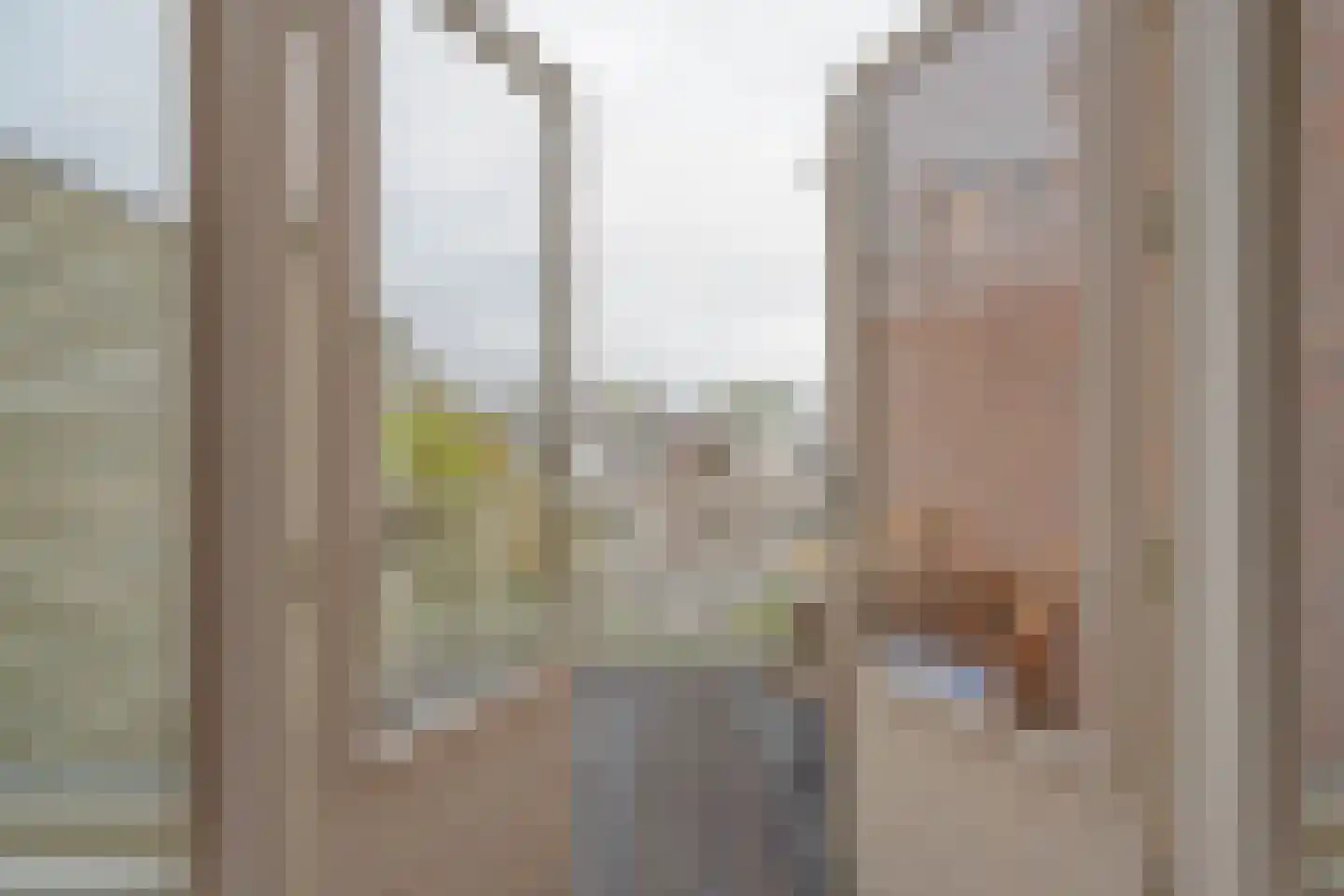 Groot Hertoginnelaan 164 Den Haag thumbnail 45