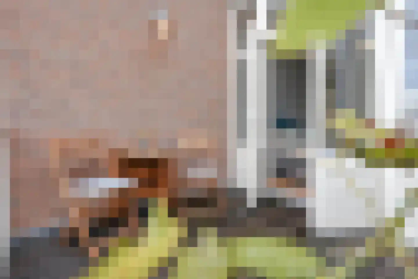 Groot Hertoginnelaan 164 Den Haag thumbnail 47