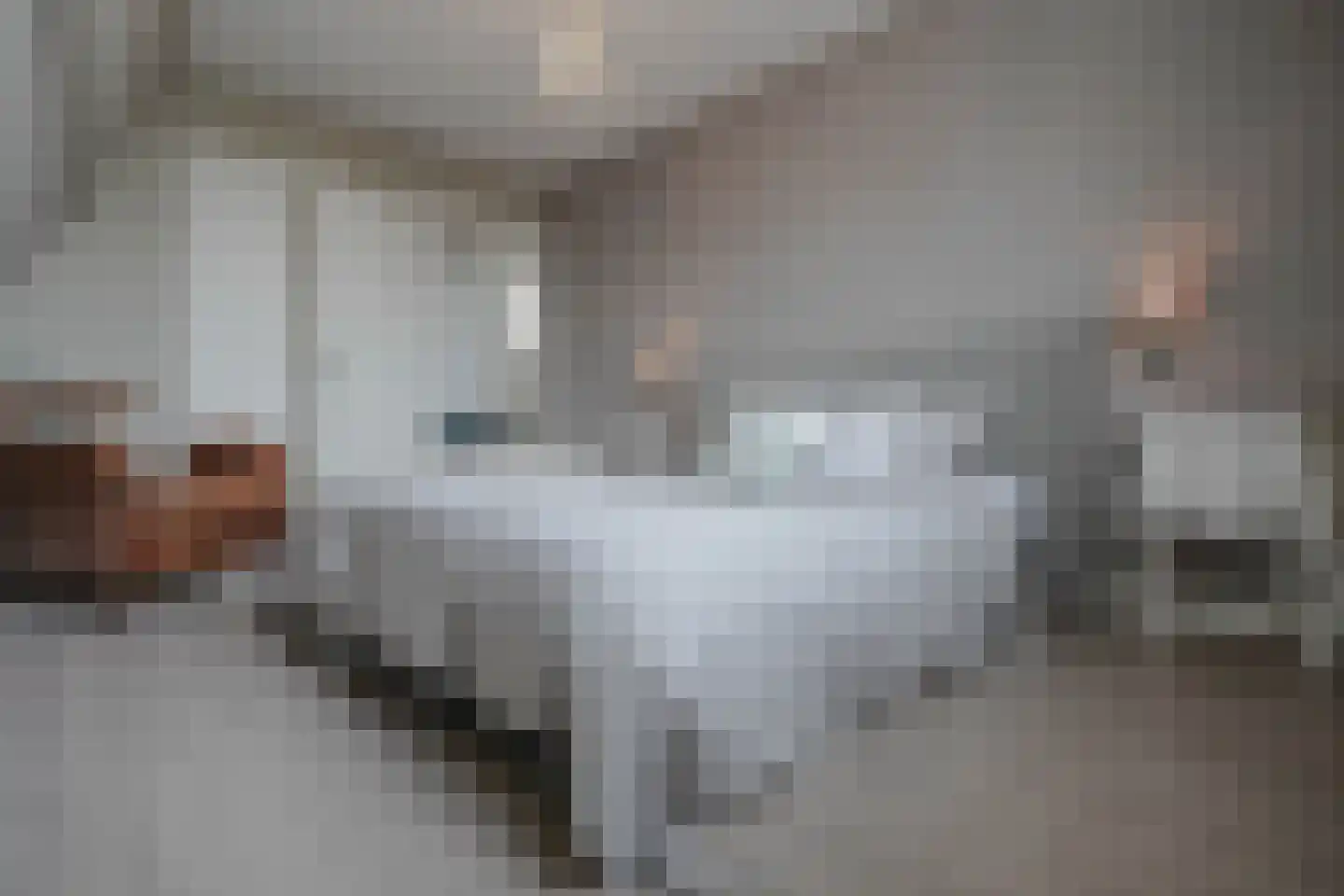 Groot Hertoginnelaan 164 Den Haag thumbnail 56