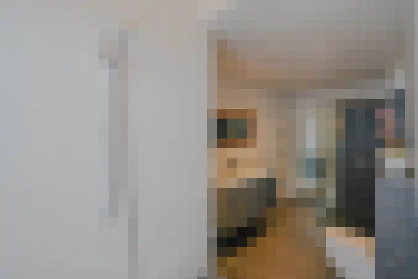 Groot Hertoginnelaan 164 Den Haag thumbnail 64