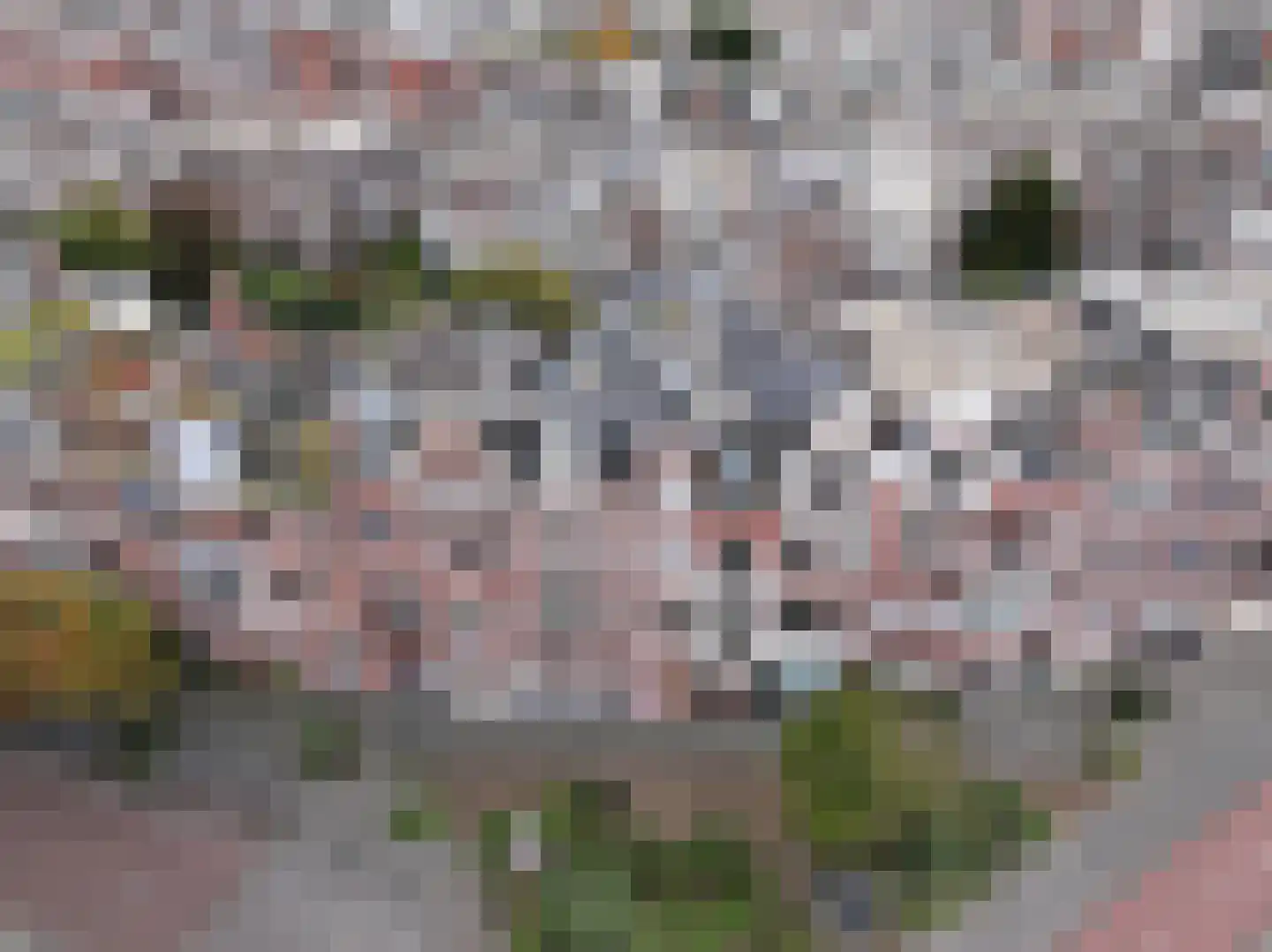 Groot Hertoginnelaan 164 Den Haag thumbnail 69