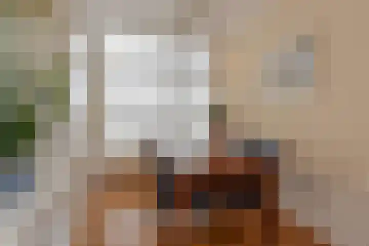 Groot Hertoginnelaan 174 B Den Haag thumbnail 15