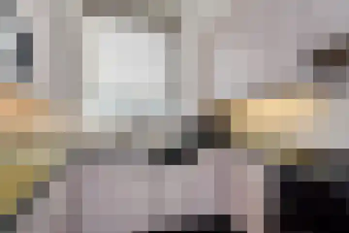 Groot Hertoginnelaan 174 B Den Haag thumbnail 25