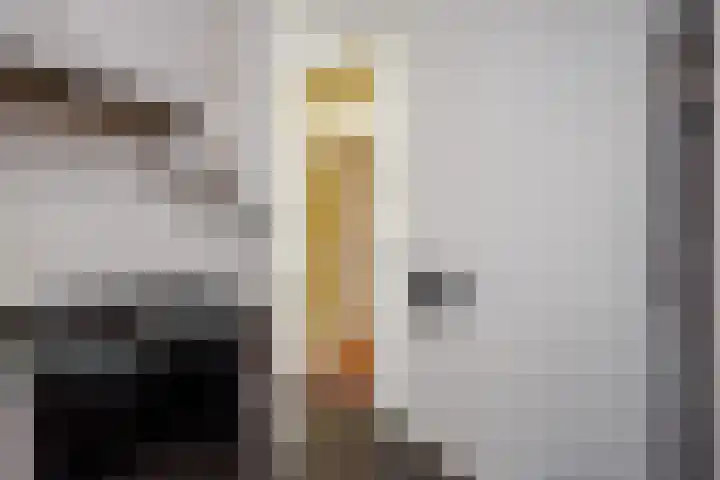 Groot Hertoginnelaan 174 B Den Haag thumbnail 26