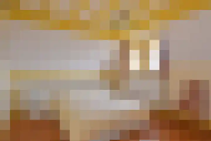 Groot Hertoginnelaan 174 B Den Haag thumbnail 32