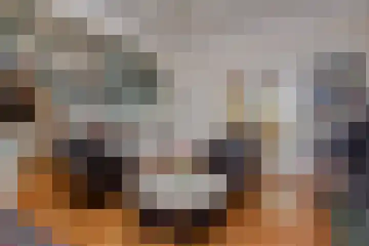 Groot Hertoginnelaan 174 B Den Haag thumbnail 6