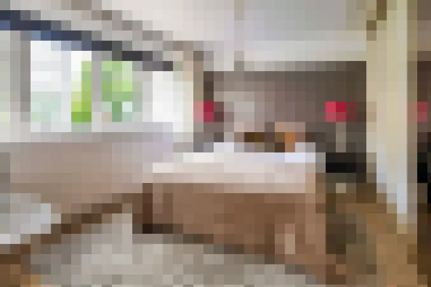 Groot Hertoginnelaan 18 Bussum thumbnail 16