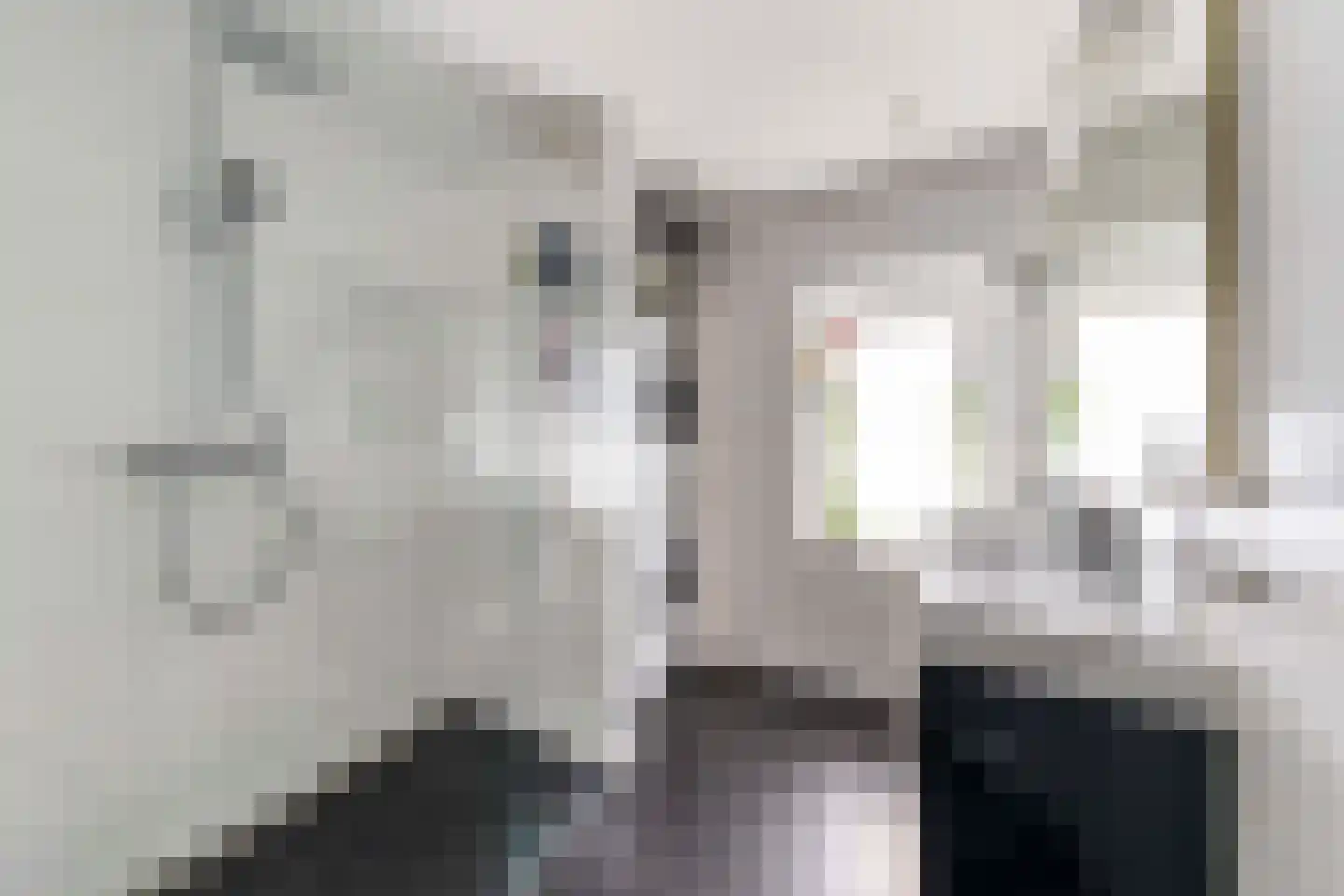 Groot Hertoginnelaan 18 Bussum thumbnail 20