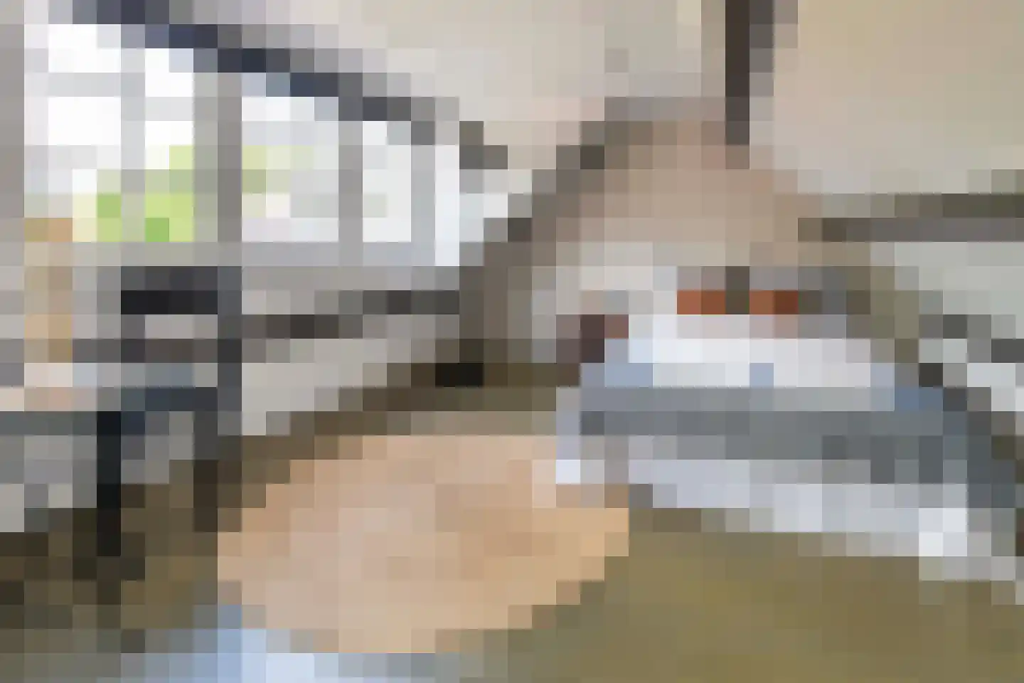 Groot Hertoginnelaan 18 Bussum thumbnail 22