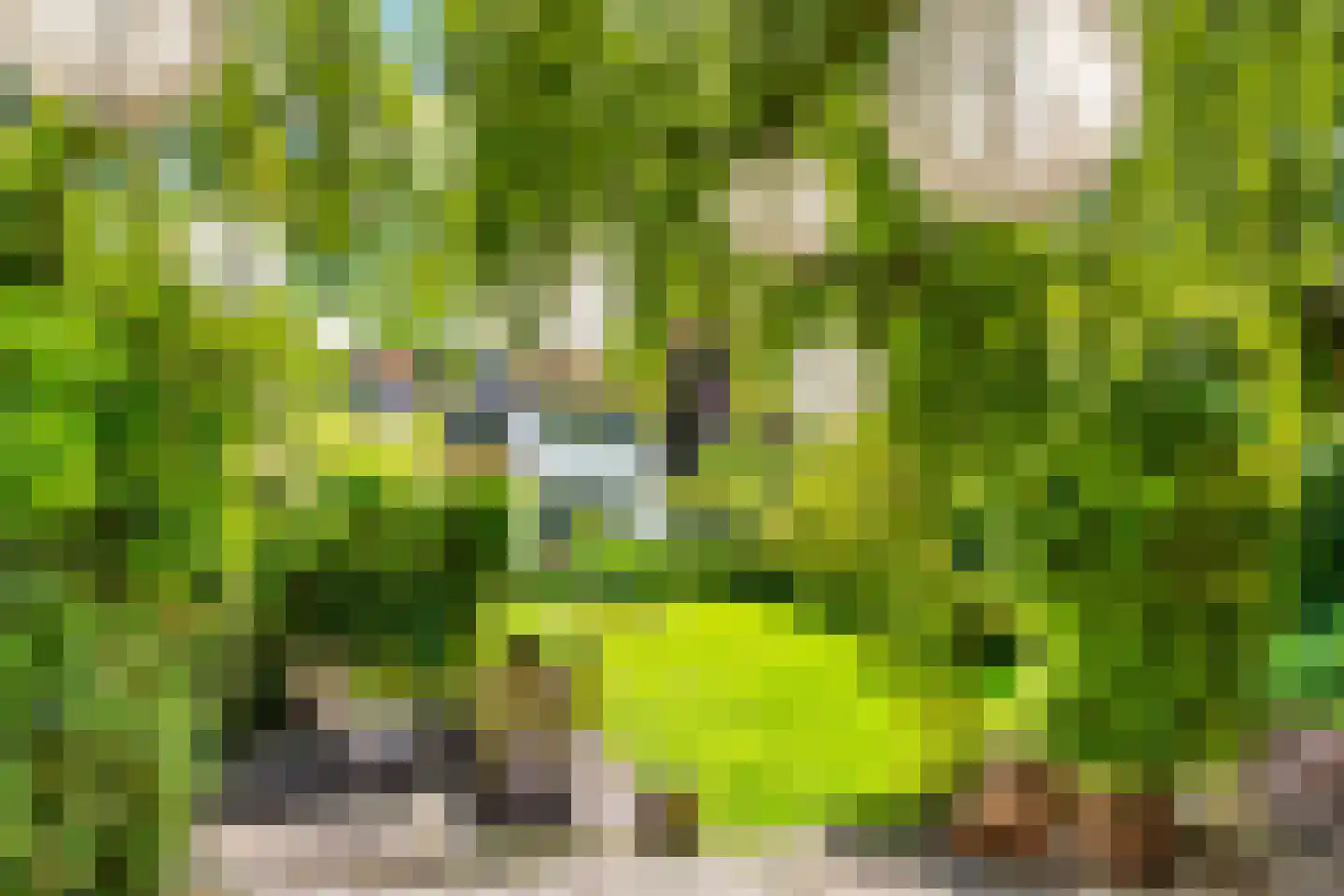 Groot Hertoginnelaan 18 Bussum thumbnail 25