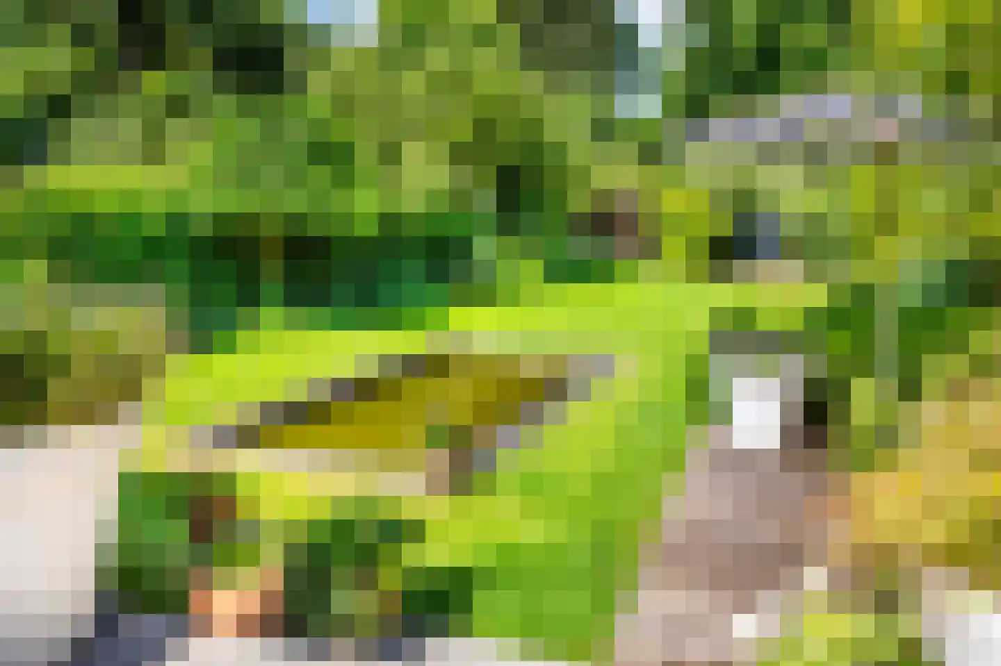 Groot Hertoginnelaan 18 Bussum thumbnail 26