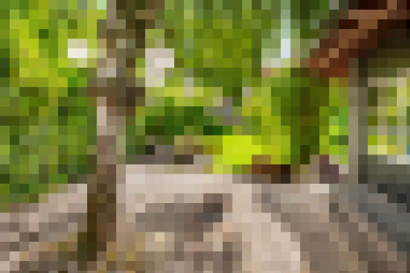 Groot Hertoginnelaan 18 Bussum thumbnail 27