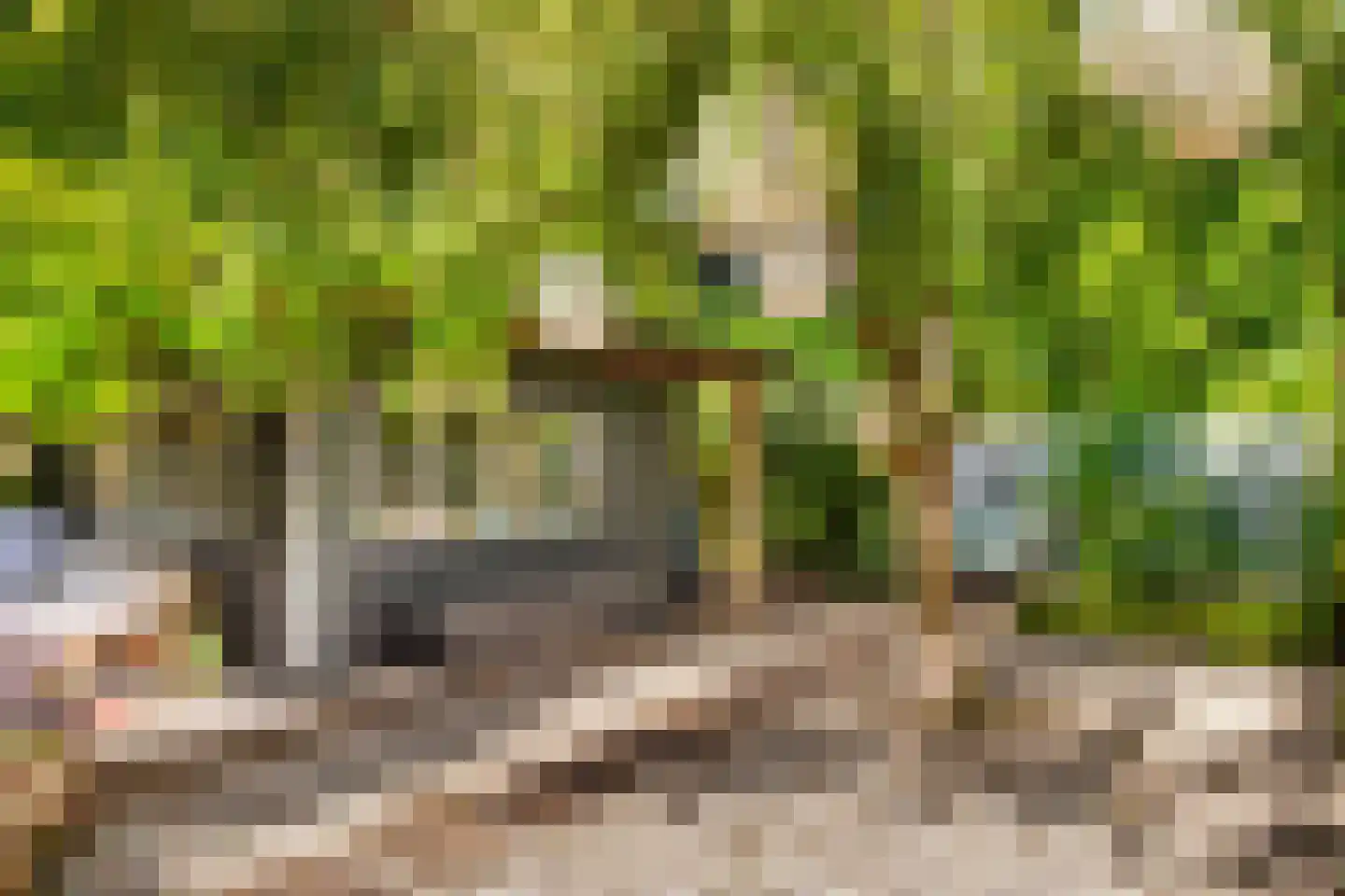 Groot Hertoginnelaan 18 Bussum thumbnail 28