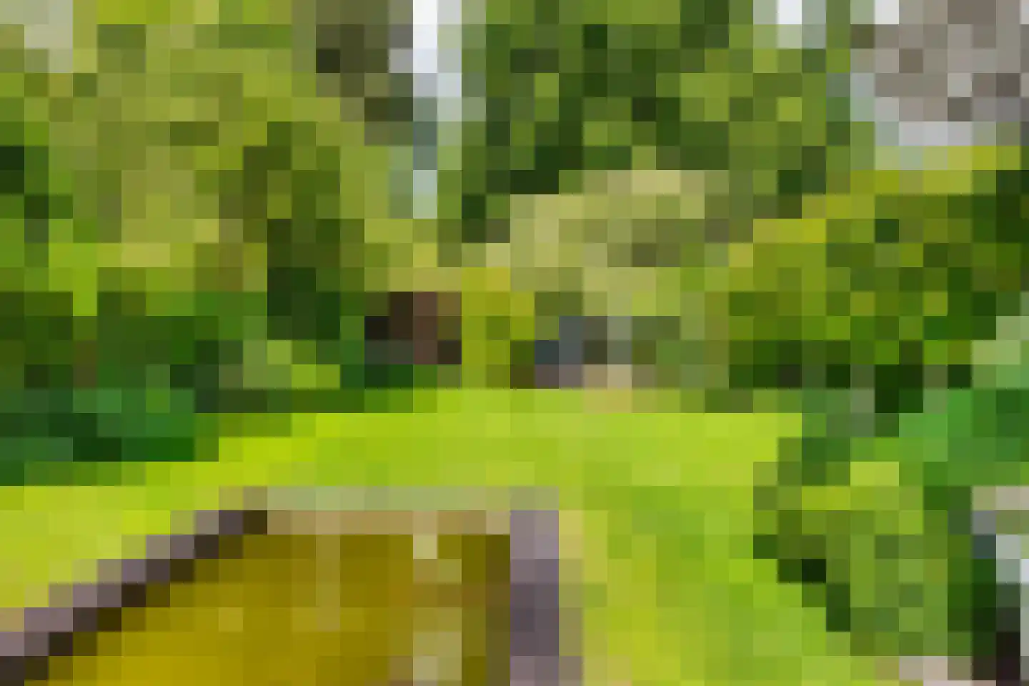Groot Hertoginnelaan 18 Bussum thumbnail 30