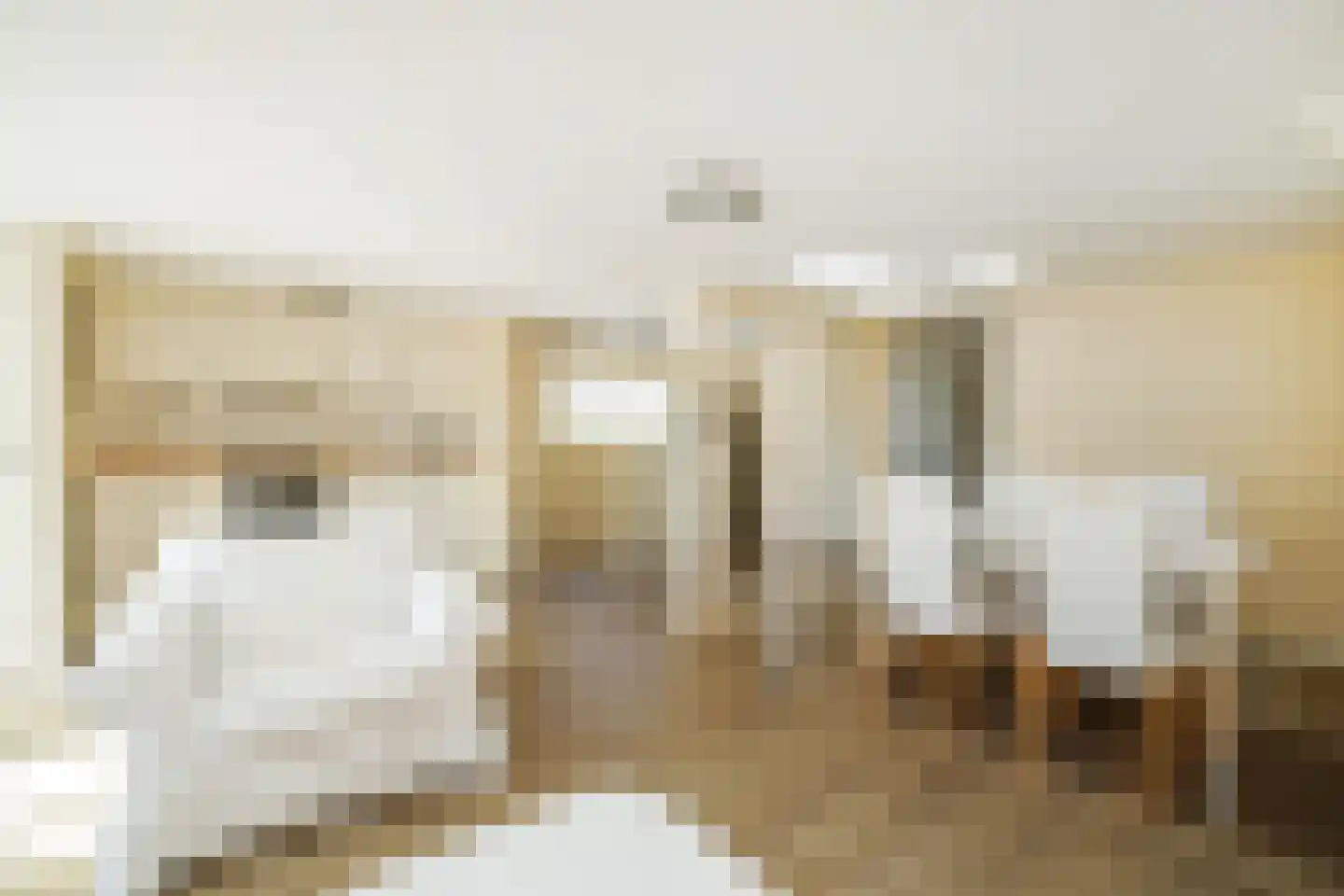 Groot Hertoginnelaan 198 B Den Haag thumbnail 12