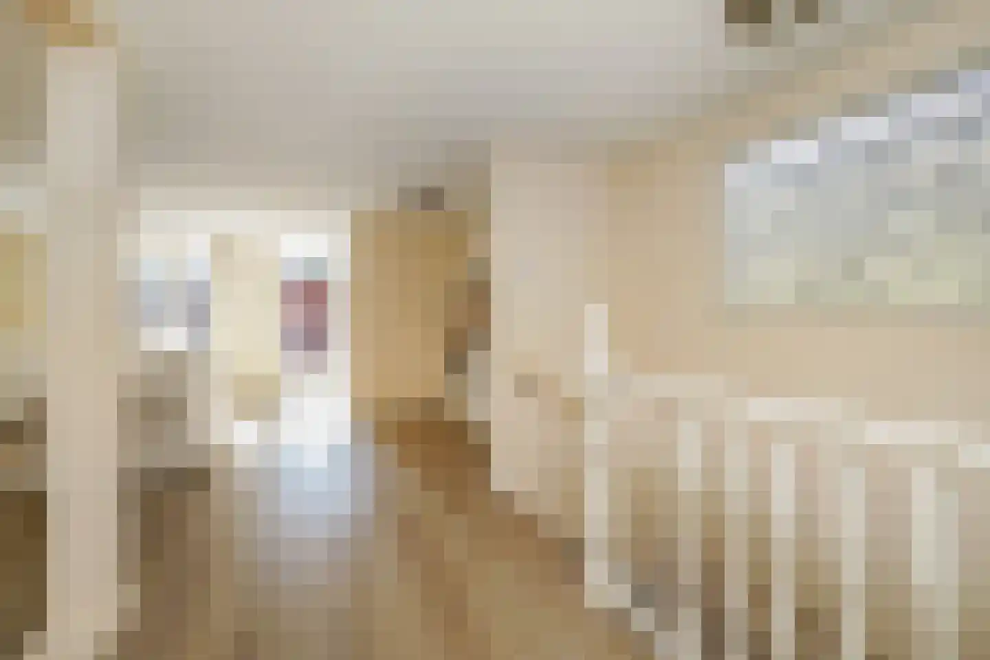 Groot Hertoginnelaan 198 B Den Haag thumbnail 21