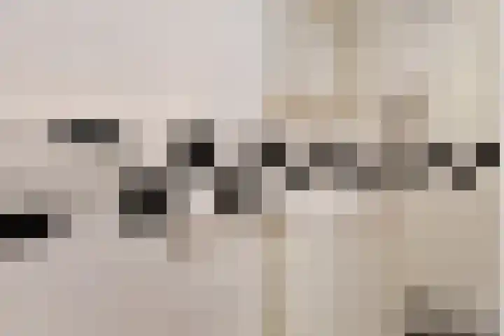 Groot Hertoginnelaan 198 Den Haag thumbnail 17