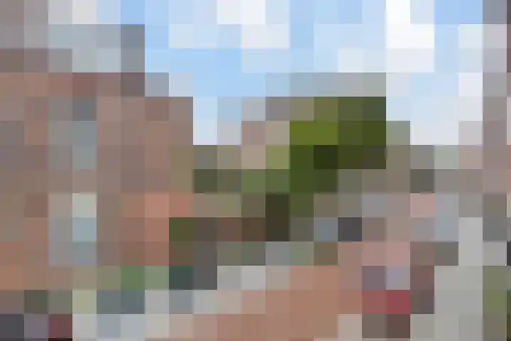Groot Hertoginnelaan 198 Den Haag thumbnail 24