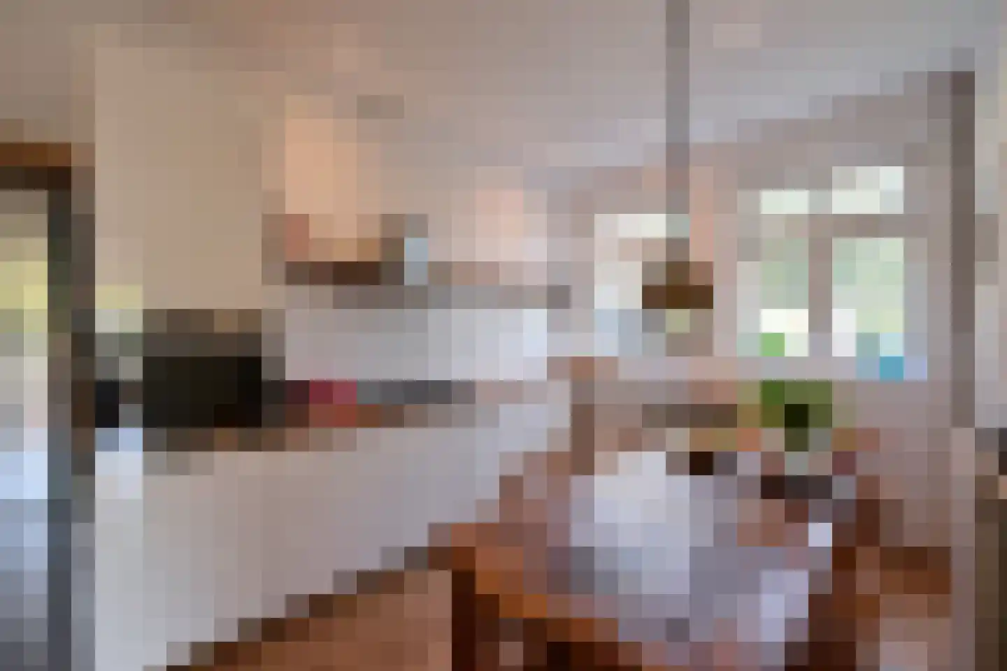 Groot Hertoginnelaan 2 Bussum thumbnail 11