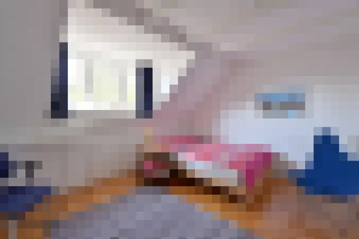 Groot Hertoginnelaan 2 Bussum thumbnail 23