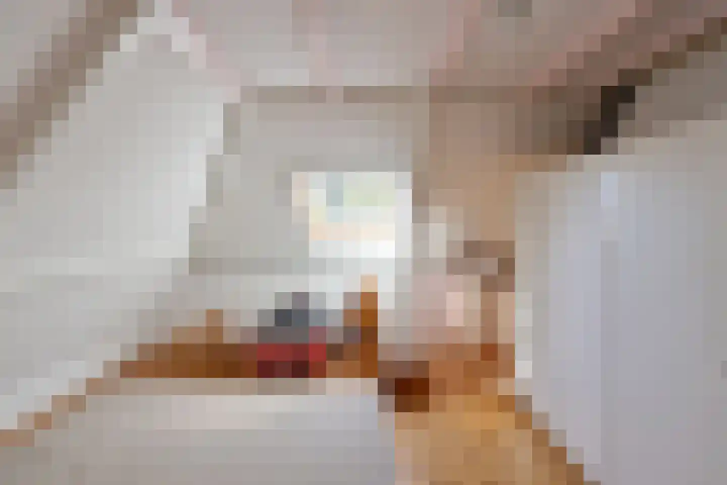 Groot Hertoginnelaan 2 Bussum thumbnail 24
