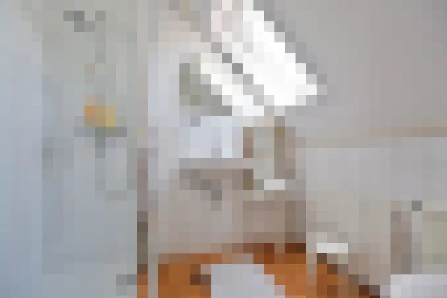 Groot Hertoginnelaan 2 Bussum thumbnail 25