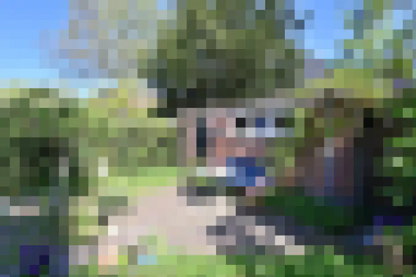 Groot Hertoginnelaan 2 Bussum thumbnail 29